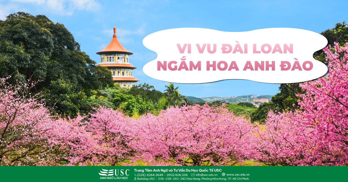 Vi Vu Đài Loan – Ngắm Hoa Anh Đào