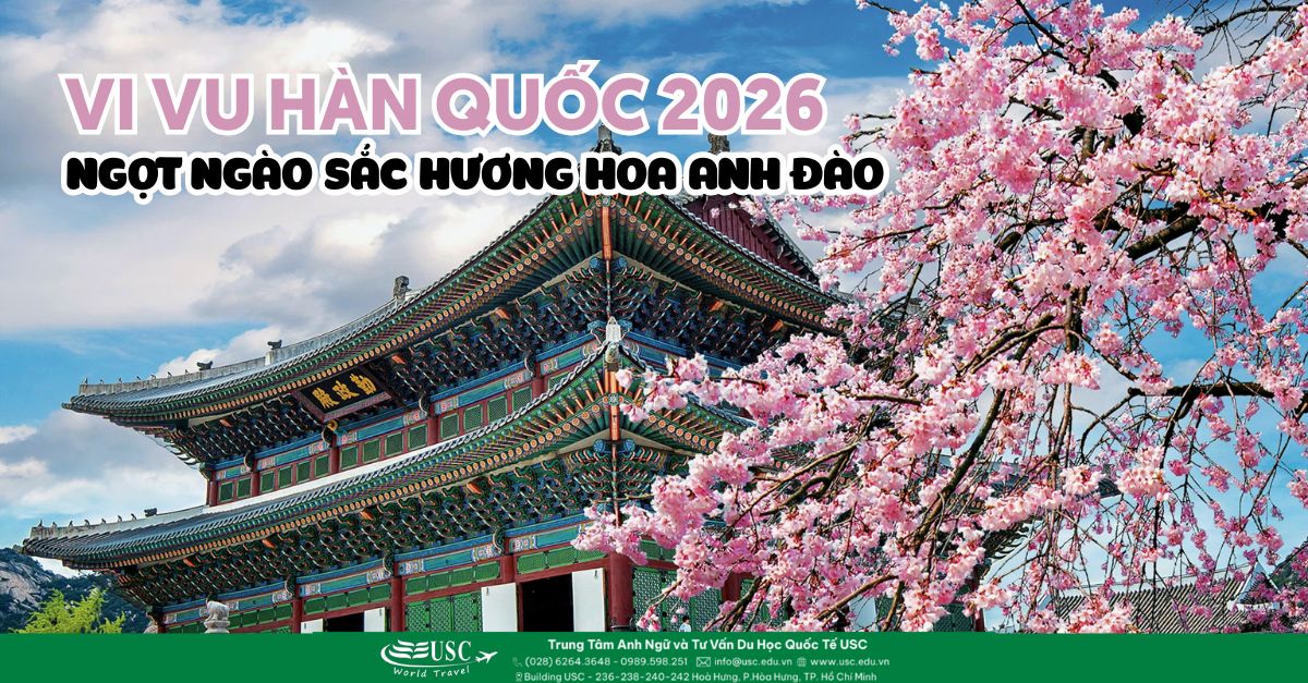 Vi Vu Hàn Quốc — Ngọt Ngào Sắc Hương Hoa Anh Đào 2026